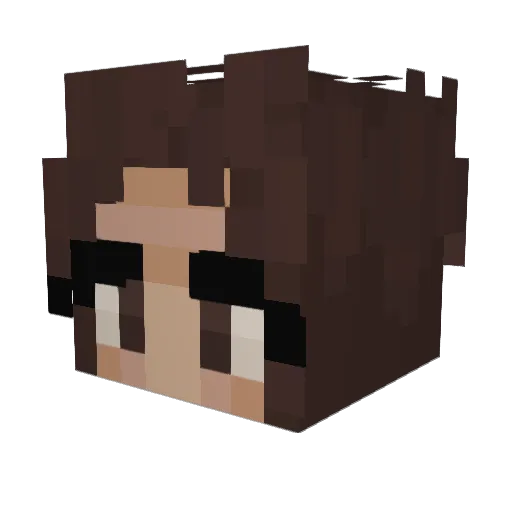 LilMonster800 Minecraft avatar head, 3D render