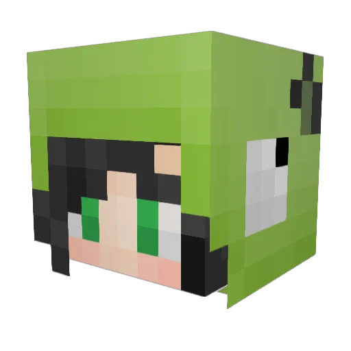 LilMsAmy Minecraft avatar head, 3D render