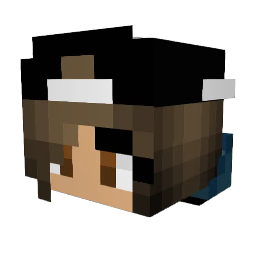 LilNinja1002 Minecraft avatar head, 3D render