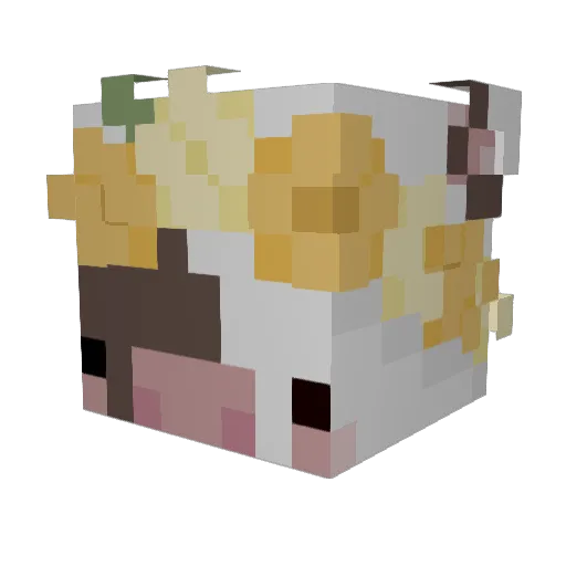 LilNoodleBoy Minecraft avatar head, 3D render