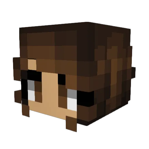 LilNye207 Minecraft avatar head, 3D render