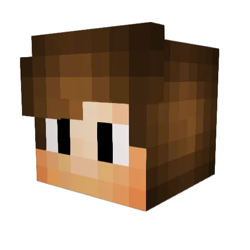 LilPoop123 Minecraft avatar head, 3D render
