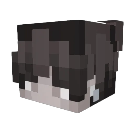 LilPudding Minecraft avatar head, 3D render