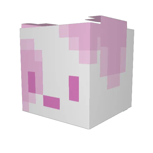 LilPupZero Minecraft avatar head, 3D render