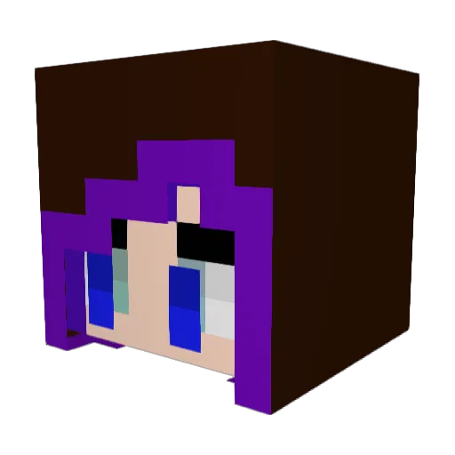 LilRancher Minecraft avatar head, 3D render