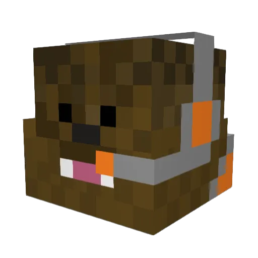 LilRuralRte66 Minecraft avatar head, 3D render