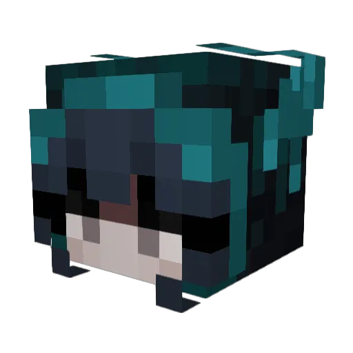 LilSetsu98 Minecraft avatar head, 3D render