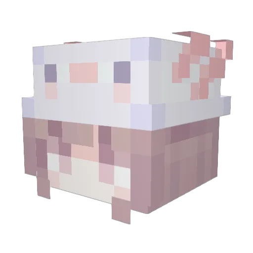 LilSharkies Minecraft avatar head, 3D render