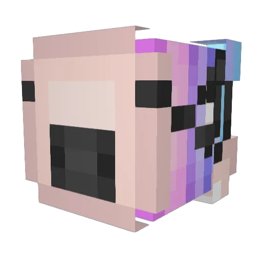 LilShordyJ Minecraft avatar head, 3D render