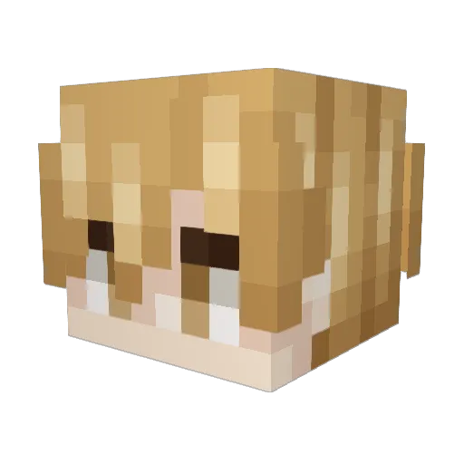 LilSkibRizzler Minecraft avatar head, 3D render