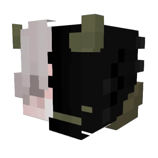 LilSoftieLuna Minecraft avatar head, 3D render