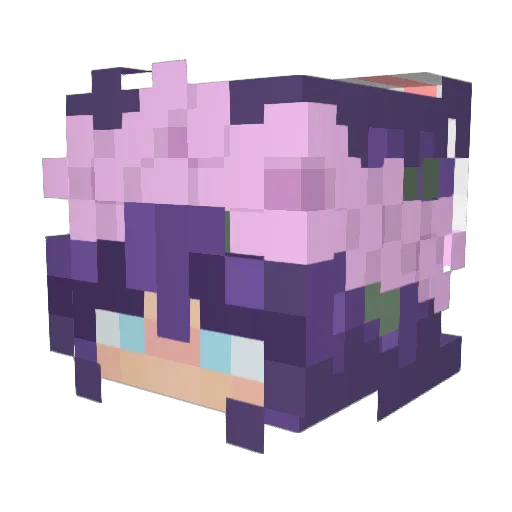 LilSpaceBabe Minecraft avatar head, 3D render