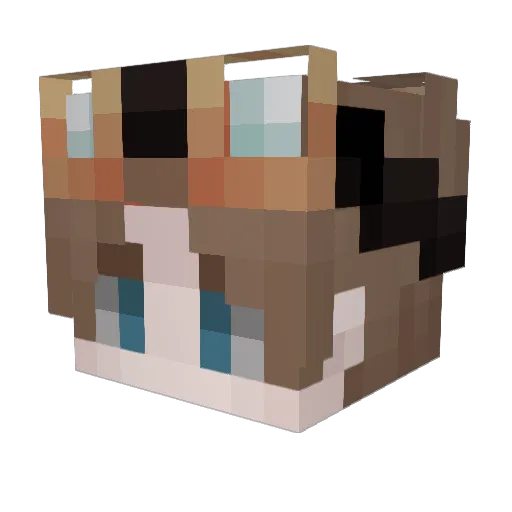 LilSpartan904 Minecraft avatar head, 3D render