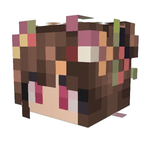 LilSquish7 Minecraft avatar head, 3D render
