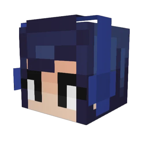 LilSubmissiveR Minecraft avatar head, 3D render