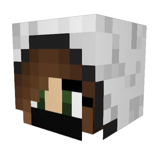 LilSweatyJill Minecraft avatar head, 3D render