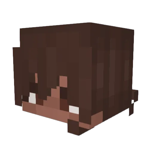 LilTeapot8005 Minecraft avatar head, 3D render