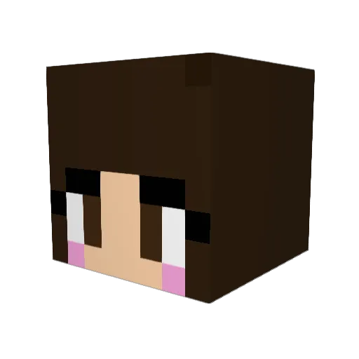 LilVader87 Minecraft avatar head, 3D render