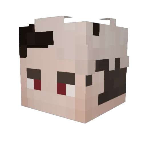 LilVain_ Minecraft avatar head, 3D render