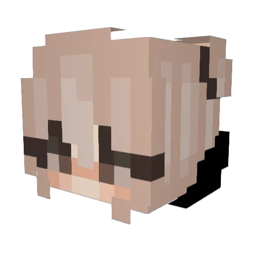 LilWatermelo Minecraft avatar head, 3D render