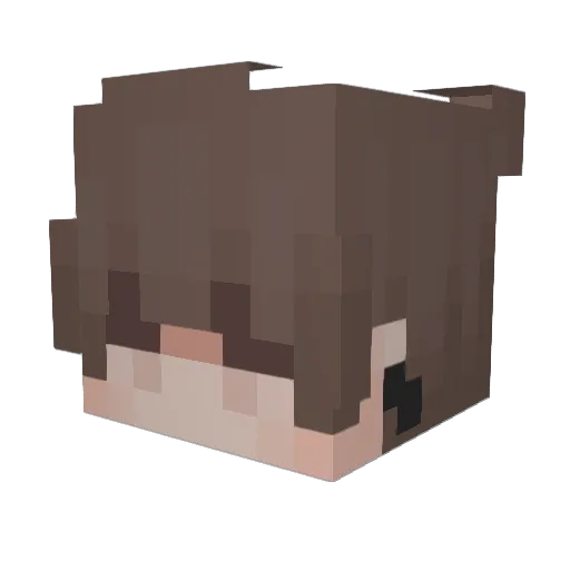 LilWeed666 Minecraft avatar head, 3D render