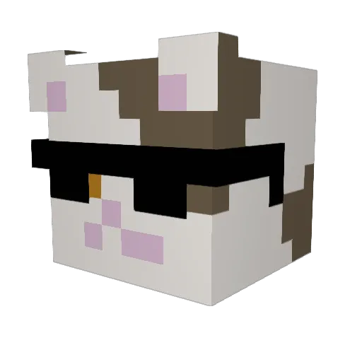 LilWiseCat Minecraft avatar head, 3D render