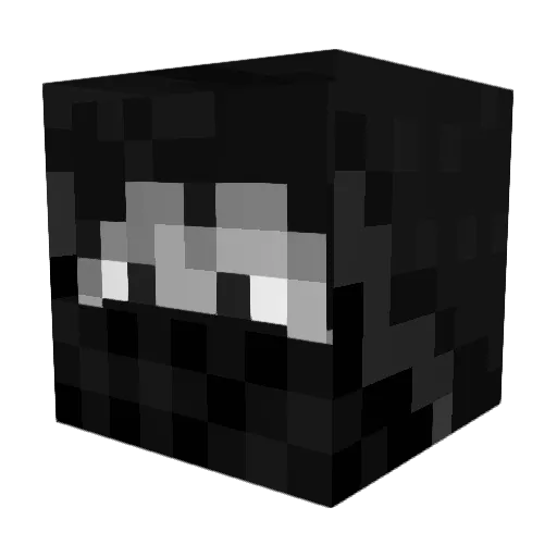 Lil_Bandit235 Minecraft avatar head, 3D render