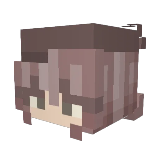 Lil_Bean_Sprout Minecraft avatar head, 3D render