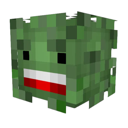 Lil_Berch Minecraft avatar head, 3D render