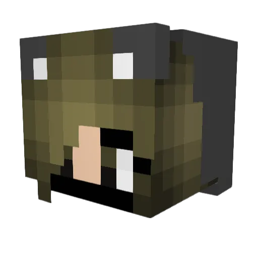 Lil_Bobo Minecraft avatar head, 3D render