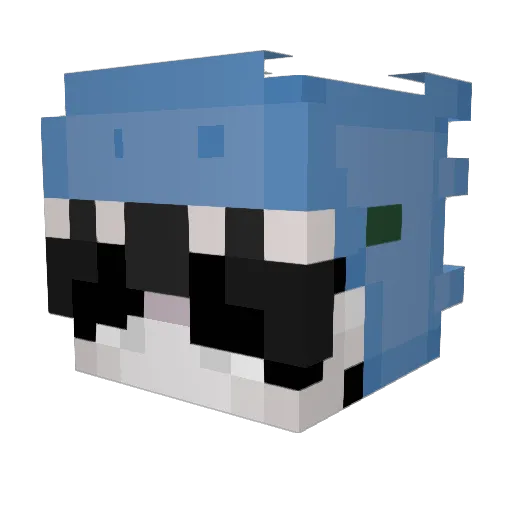 Lil_Broomstick Minecraft avatar head, 3D render