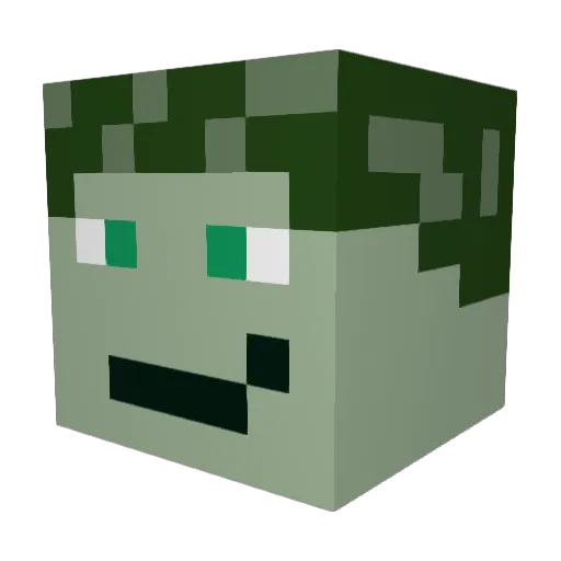 Lil_Coch Minecraft avatar head, 3D render