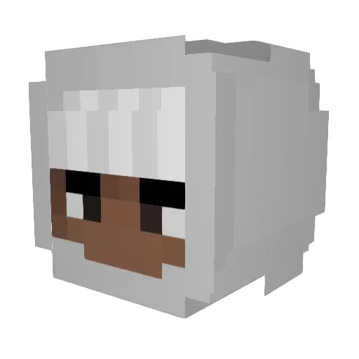 Lil_Dami Minecraft avatar head, 3D render