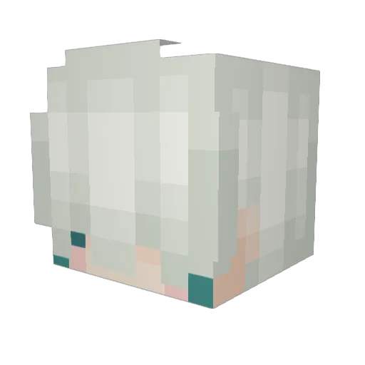 Lil_Dill Minecraft avatar head, 3D render