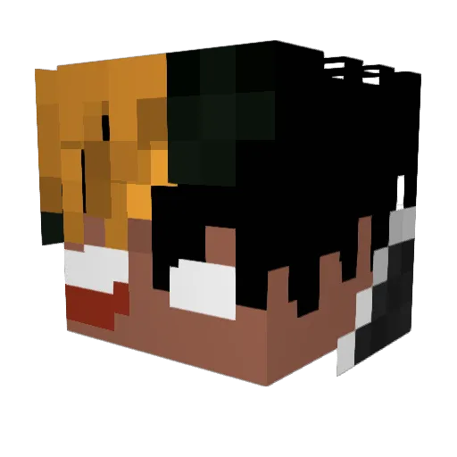 Lil_DownSyndrome Minecraft avatar head, 3D render