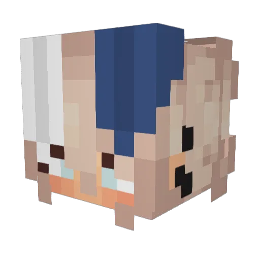 Lil_Dyno_Bites Minecraft avatar head, 3D render