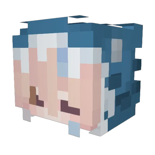 Lil_Elmo2204 Minecraft avatar head, 3D render
