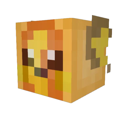 Lil_Feef Minecraft avatar head, 3D render