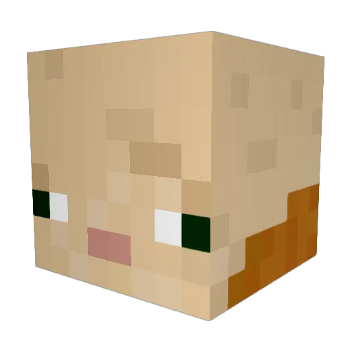 Lil_Gea Minecraft avatar head, 3D render