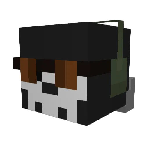 Lil_Gh0st Minecraft avatar head, 3D render