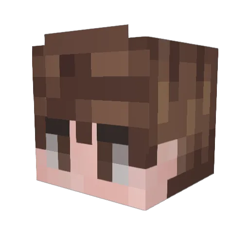 Lil_Gordon Minecraft avatar head, 3D render