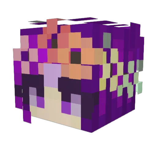 Lil_Jane Minecraft avatar head, 3D render