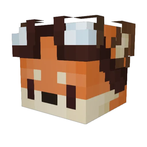 Lil_Liv_ Minecraft avatar head, 3D render