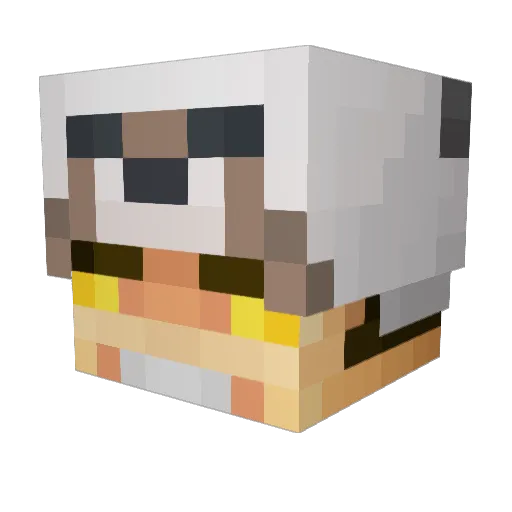 Lil_Mikey055 Minecraft avatar head, 3D render