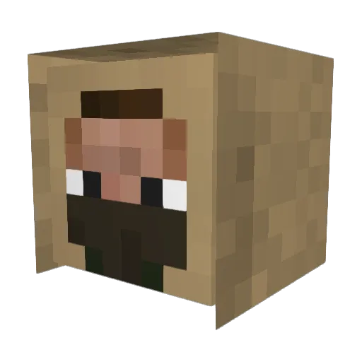 Lil_N1lle Minecraft avatar head, 3D render