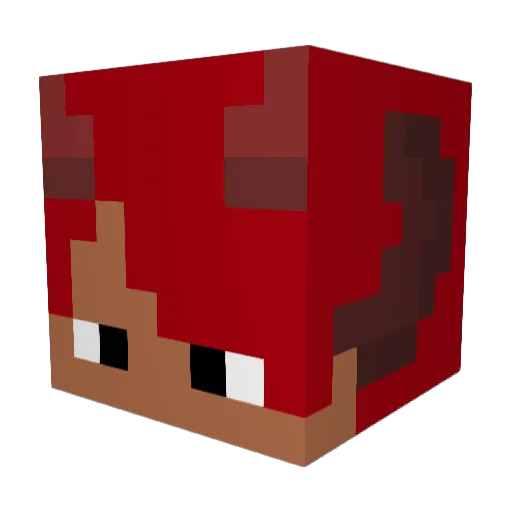 Lil_Na5_x Minecraft avatar head, 3D render