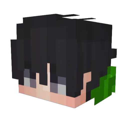 Lil_Olus Minecraft avatar head, 3D render
