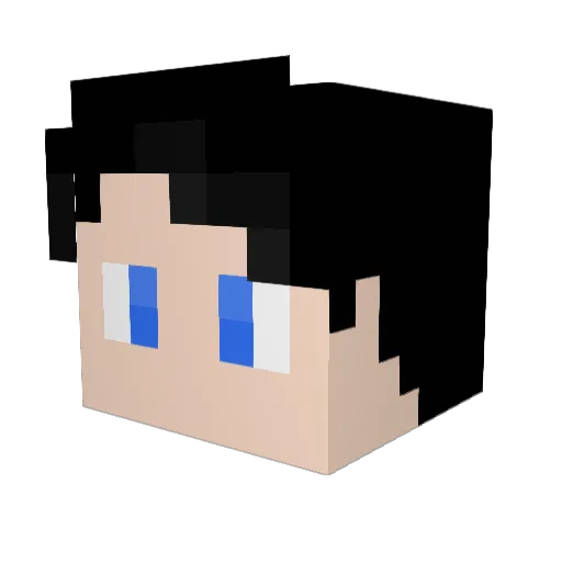 Lil_Orphanz Minecraft avatar head, 3D render