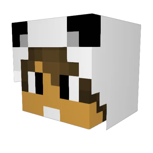 Lil_Otakkuu Minecraft avatar head, 3D render