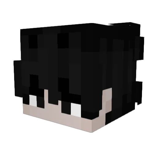 Lil_Panda_20 Minecraft avatar head, 3D render